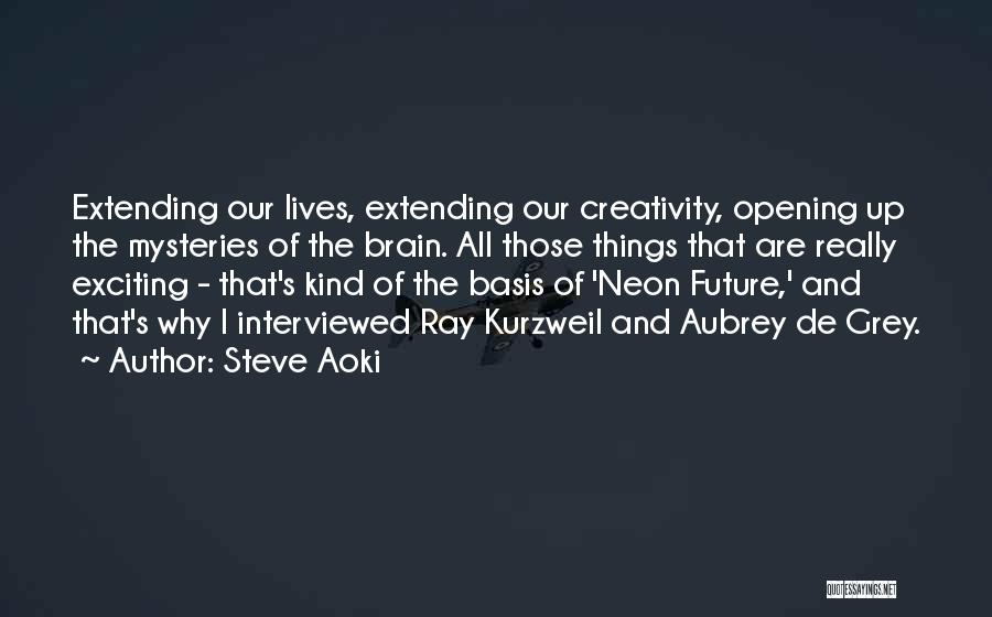 An Exciting Future Quotes By Steve Aoki