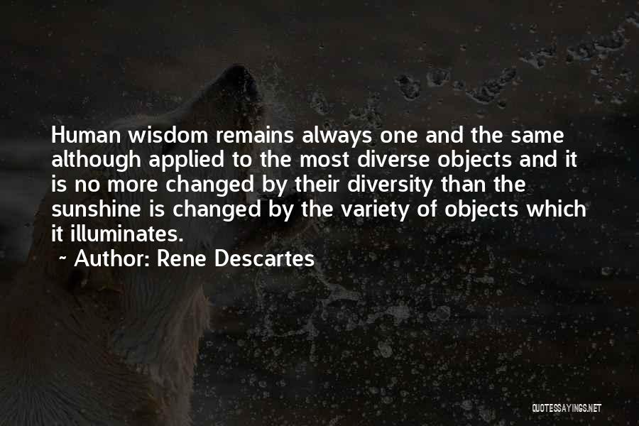 An Experience Changed You Quotes By Rene Descartes