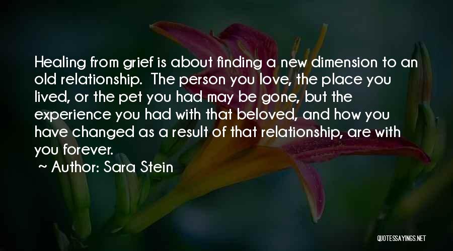 An Experience Changed You Quotes By Sara Stein