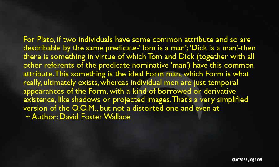 An Ideal Man Quotes By David Foster Wallace