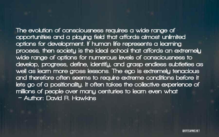 An Ideal School Quotes By David R. Hawkins