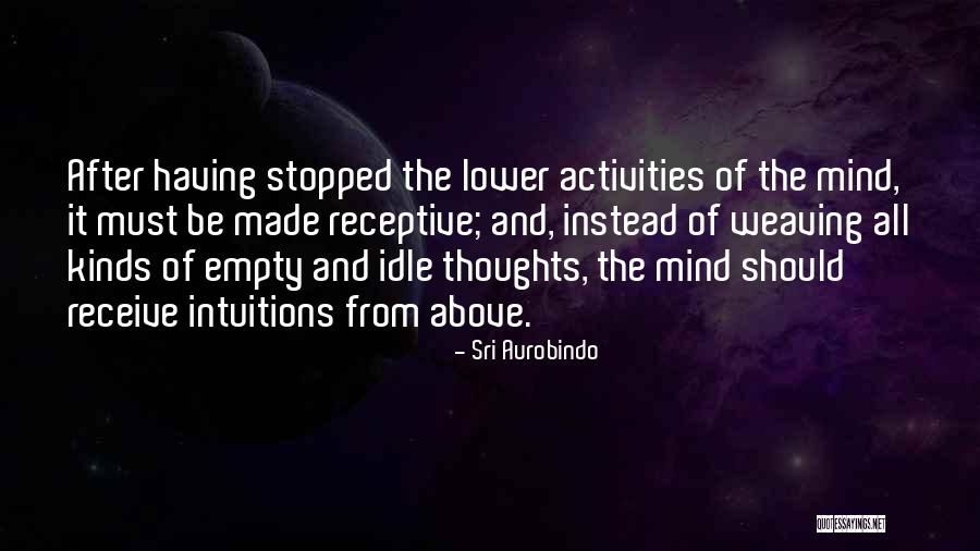 An Idle Mind Quotes By Sri Aurobindo