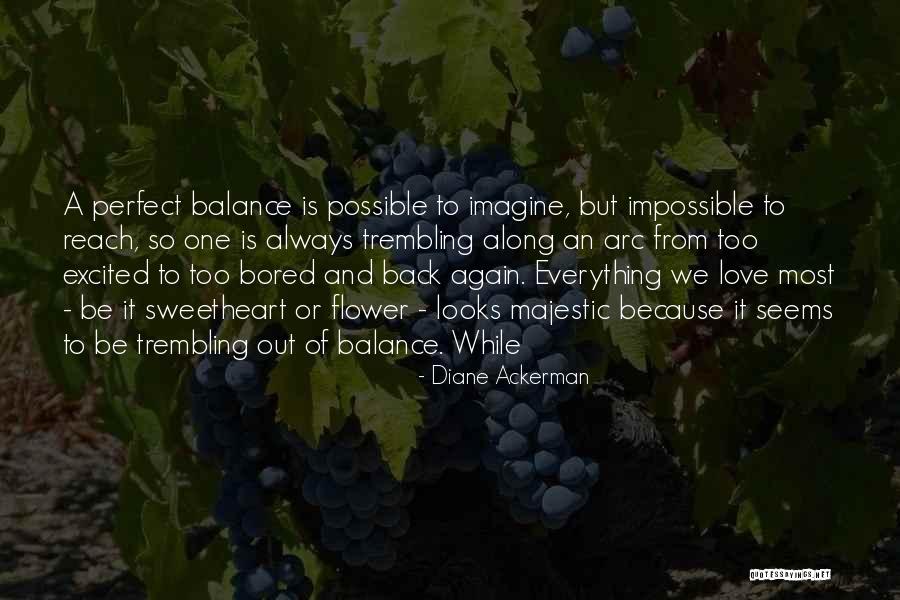 An Impossible Love Quotes By Diane Ackerman An Impossible Love Quotes By Diane Ackerman