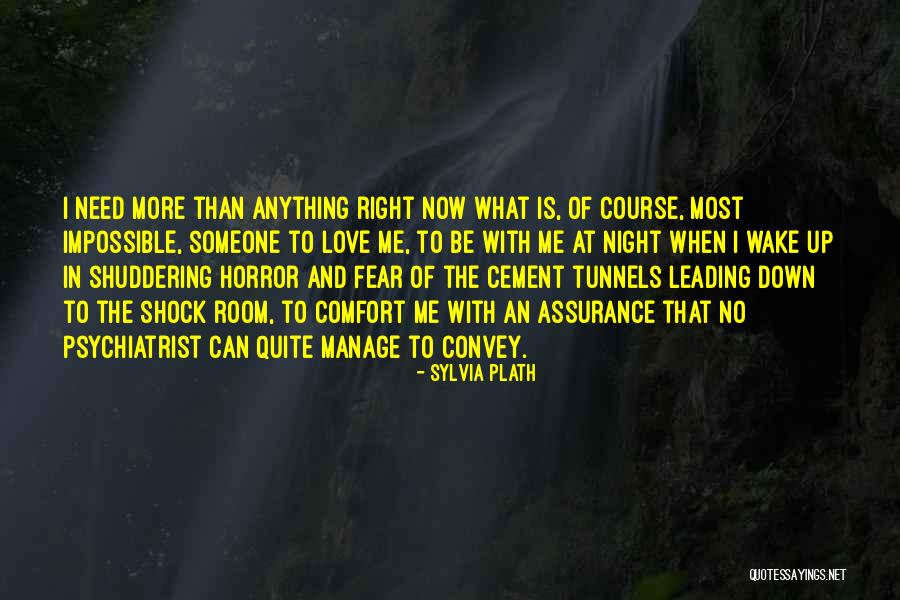 An Impossible Love Quotes By Sylvia Plath An Impossible Love Quotes By Sylvia Plath