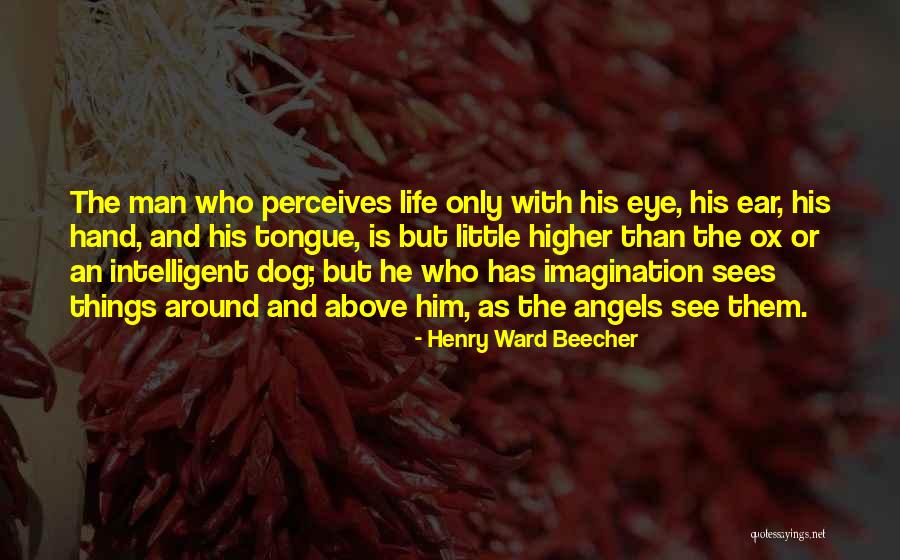 An Intelligent Man Quotes By Henry Ward Beecher An Intelligent Man Quotes By Henry Ward Beecher