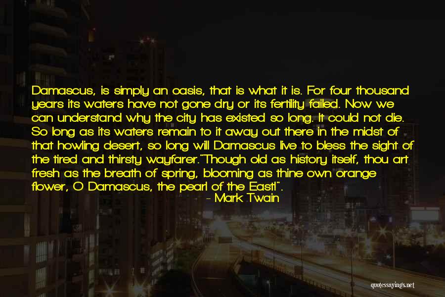 An Oasis Quotes By Mark Twain An Oasis Quotes By Mark Twain