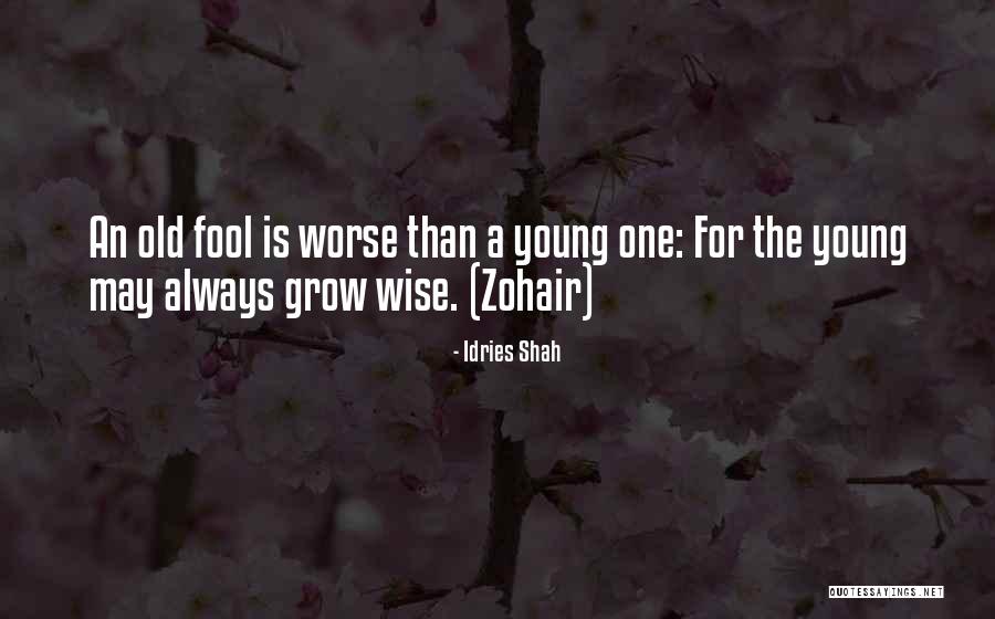 An Old Fool Quotes By Idries Shah An Old Fool Quotes By Idries Shah
