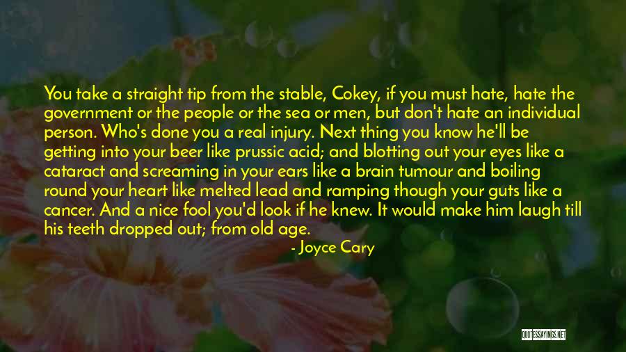 An Old Fool Quotes By Joyce Cary An Old Fool Quotes By Joyce Cary