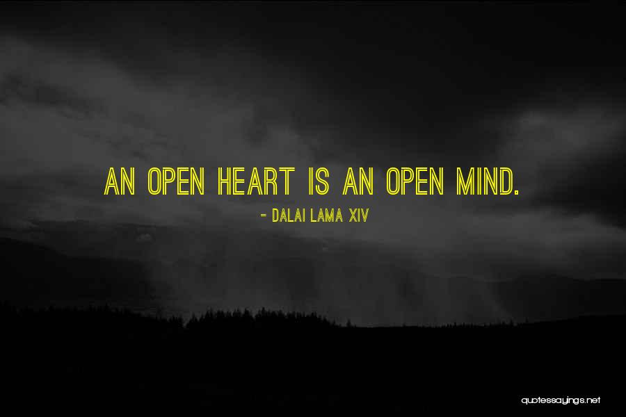 An Open Mind Quotes By Dalai Lama XIV An Open Mind Quotes By Dalai Lama XIV