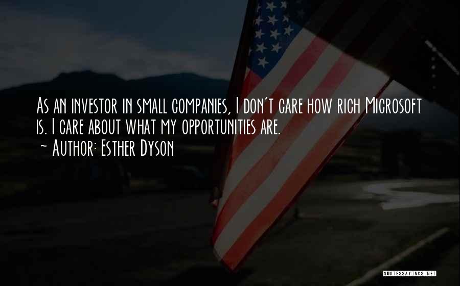 An Opportunity Quotes By Esther Dyson