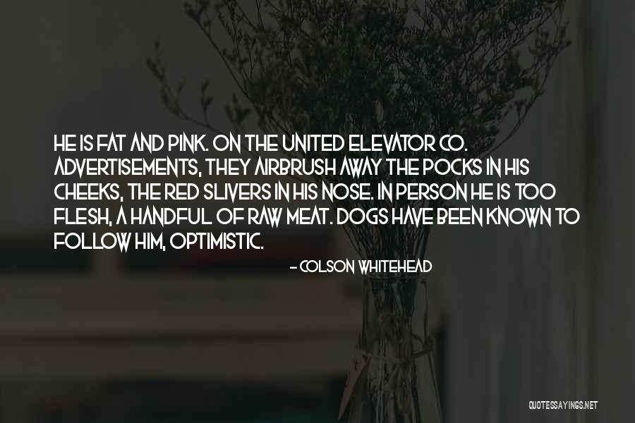 An Optimistic Person Quotes By Colson Whitehead An Optimistic Person Quotes By Colson Whitehead