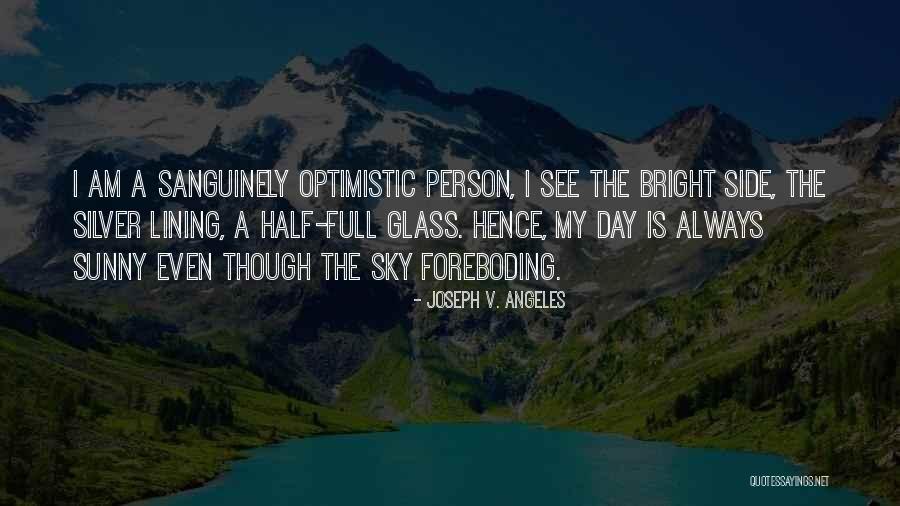 An Optimistic Person Quotes By Joseph V. Angeles An Optimistic Person Quotes By Joseph V. Angeles