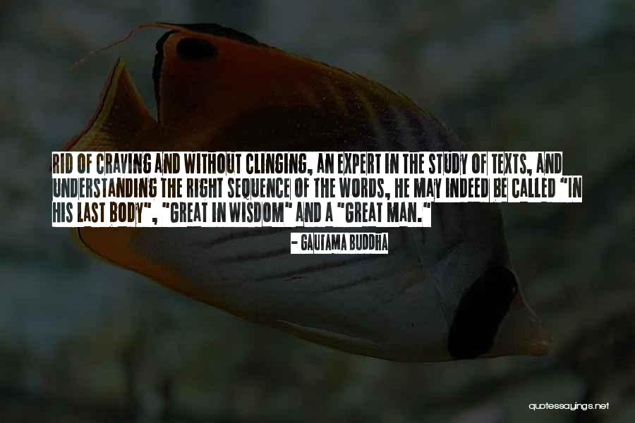 An Understanding Man Quotes By Gautama Buddha An Understanding Man Quotes By Gautama Buddha