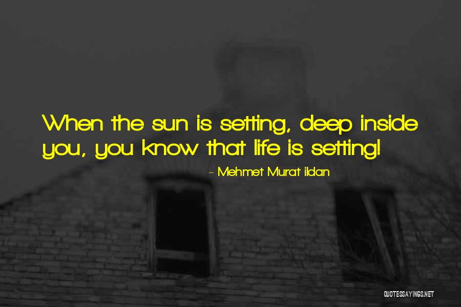 Ana Enriqueta Ter N Quotes By Mehmet Murat Ildan Ana Enriqueta Ter N Quotes By Mehmet Murat Ildan