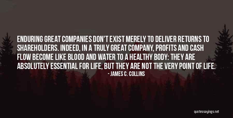 Anabela Moreira Quotes By James C. Collins Anabela Moreira Quotes By James C. Collins