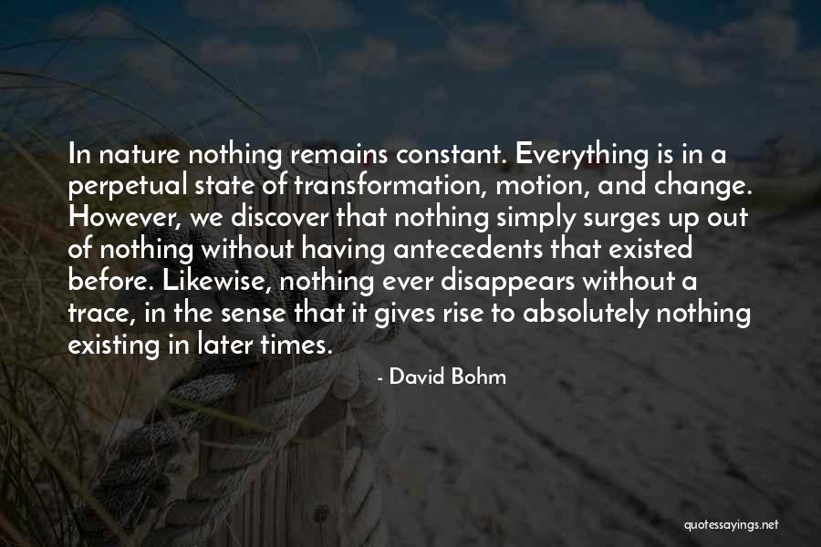 Anaida Brugal Portela Quotes By David Bohm Anaida Brugal Portela Quotes By David Bohm