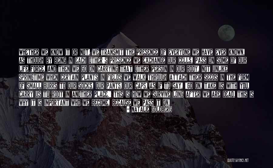 Anak Teknik Quotes By Natalie Goldberg Anak Teknik Quotes By Natalie Goldberg