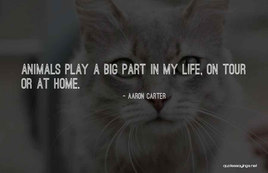 Analipsi Village Quotes By Aaron Carter Analipsi Village Quotes By Aaron Carter