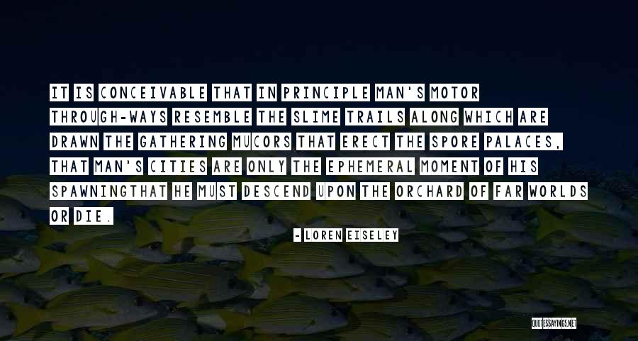 Analisis Dimensional Quotes By Loren Eiseley Analisis Dimensional Quotes By Loren Eiseley
