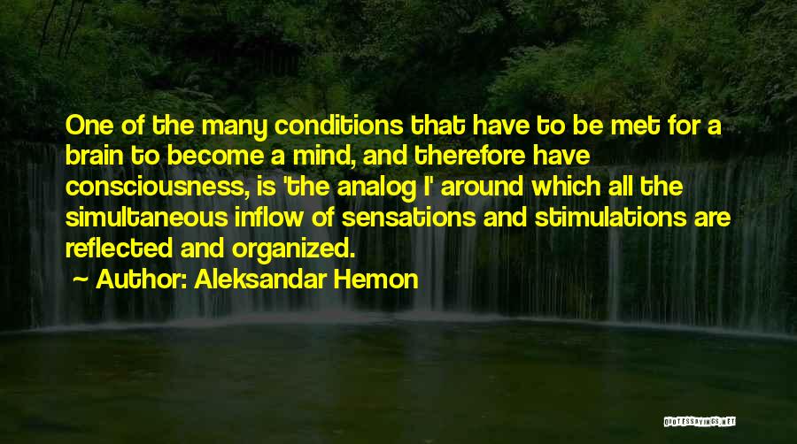 Analog Quotes By Aleksandar Hemon