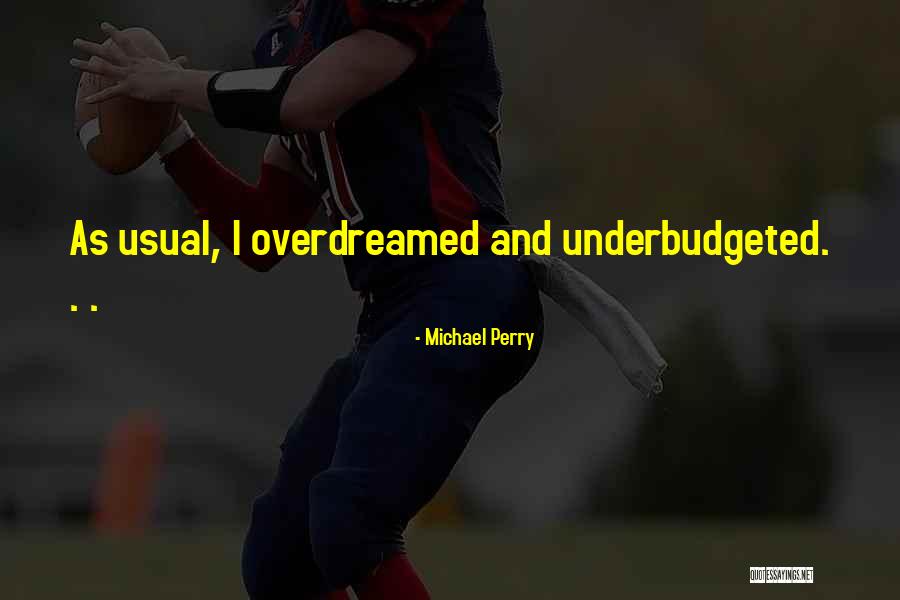 Analogical Incorrect Quotes By Michael Perry Analogical Incorrect Quotes By Michael Perry