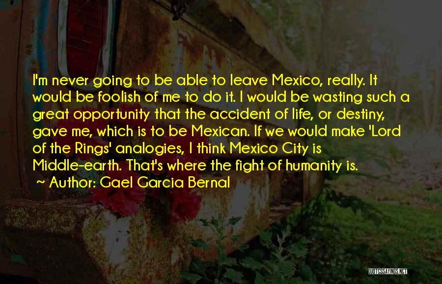 Analogies Quotes By Gael Garcia Bernal