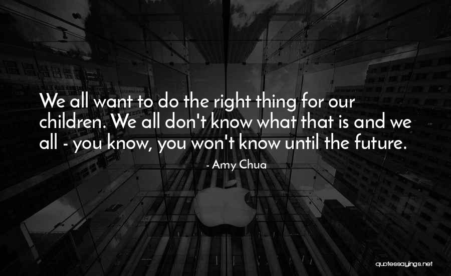 Analogues Controlled Quotes By Amy Chua Analogues Controlled Quotes By Amy Chua