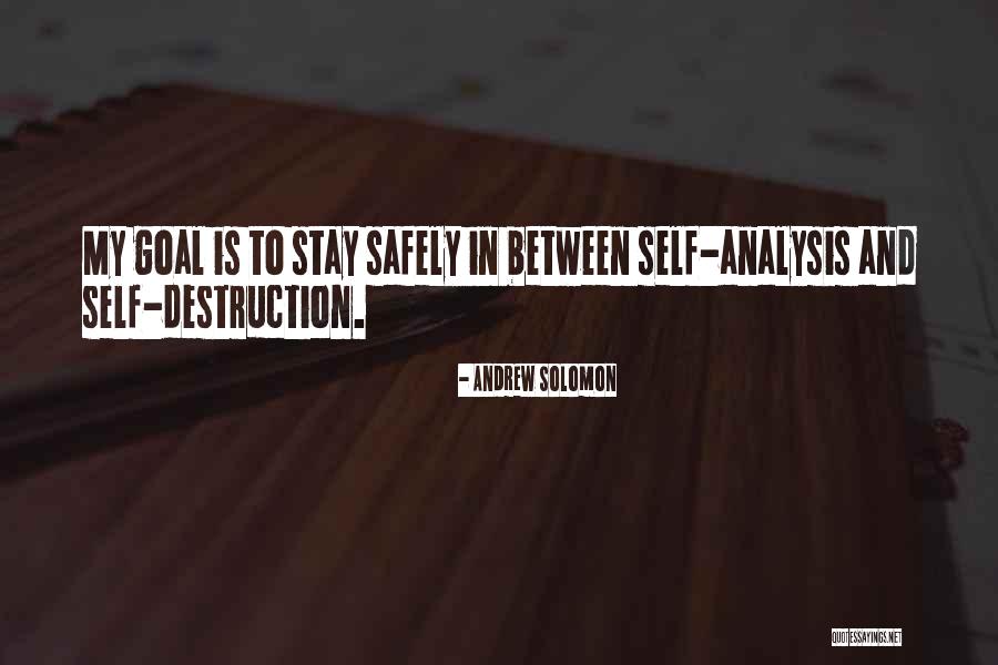 Analysis In Quotes By Andrew Solomon Analysis In Quotes By Andrew Solomon