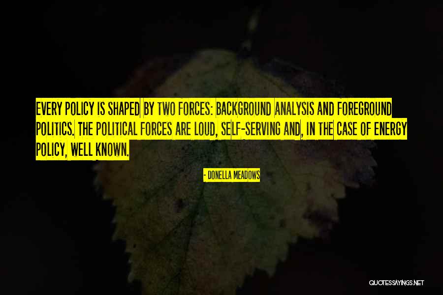 Analysis In Quotes By Donella Meadows Analysis In Quotes By Donella Meadows