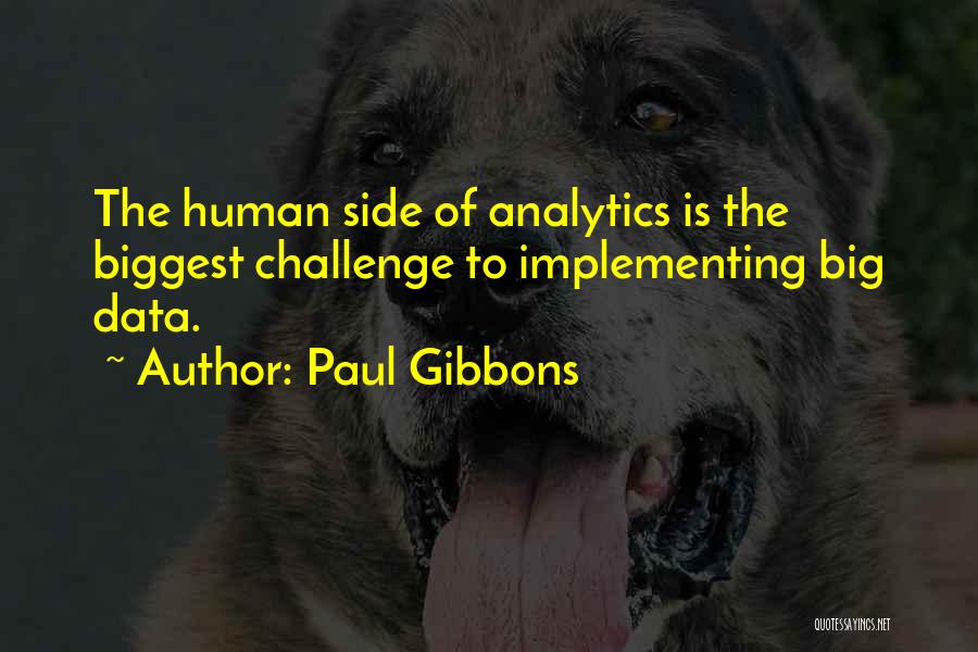 Analytics Big Data Quotes By Paul Gibbons