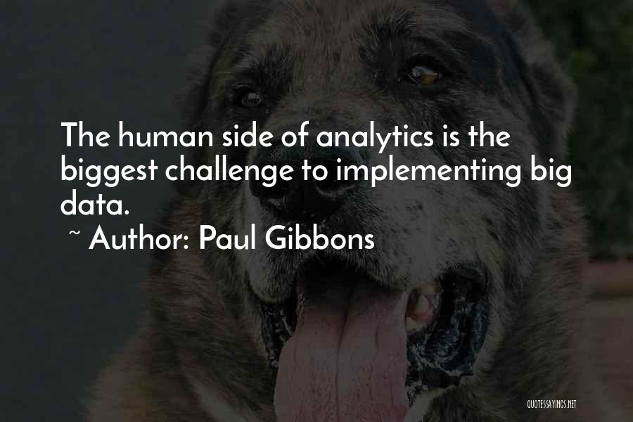 Analytics Quotes By Paul Gibbons