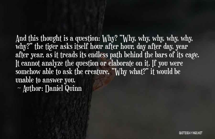 Analyze This Quotes By Daniel Quinn