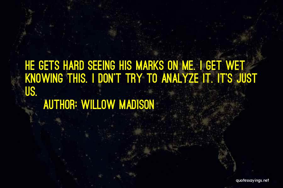 Analyze This Quotes By Willow Madison