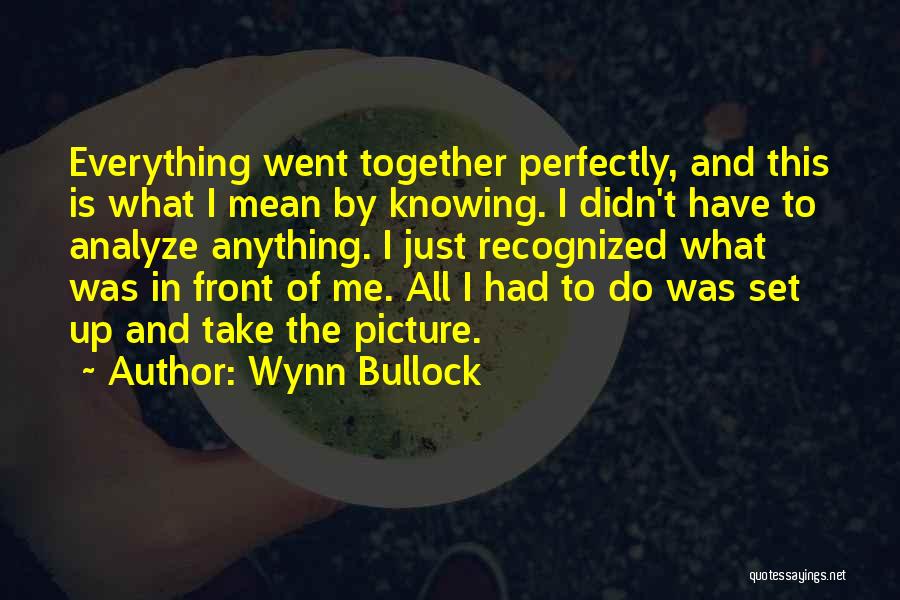 Analyze This Quotes By Wynn Bullock