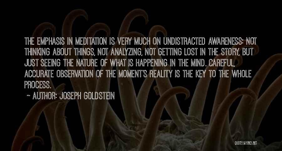 Analyzing Things Quotes By Joseph Goldstein