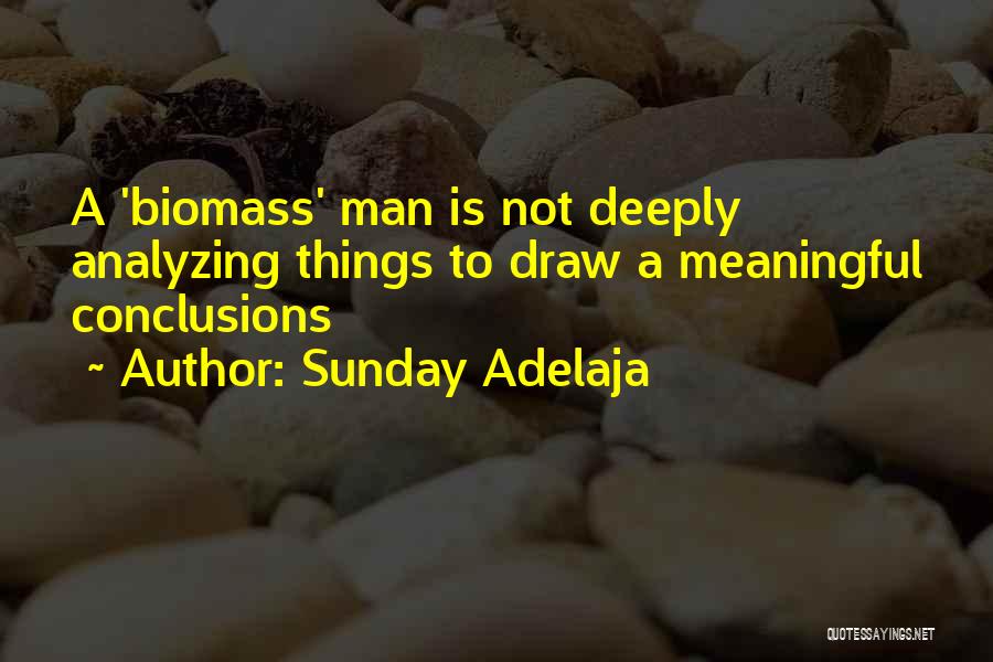 Analyzing Your Life Quotes By Sunday Adelaja