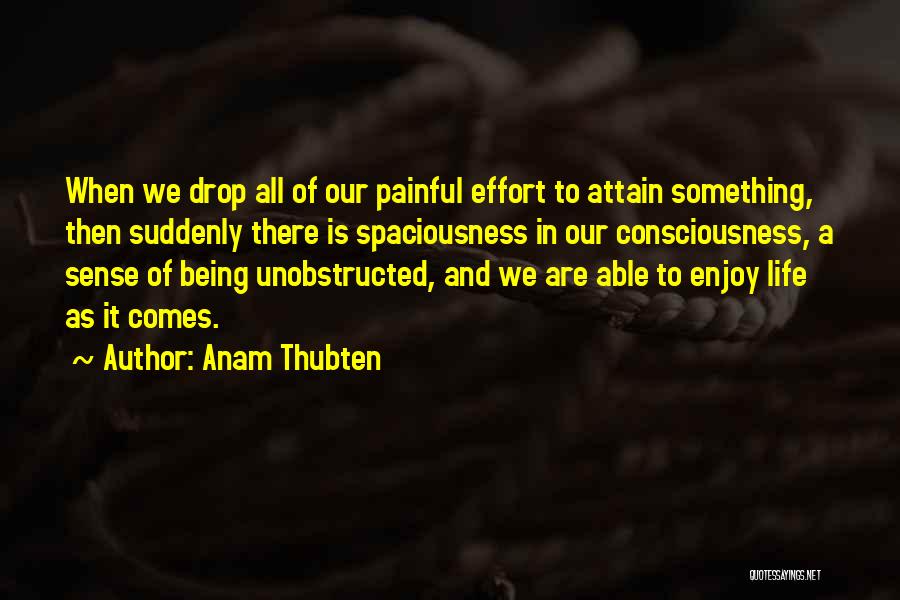 Anam Thubten Quotes 1808436