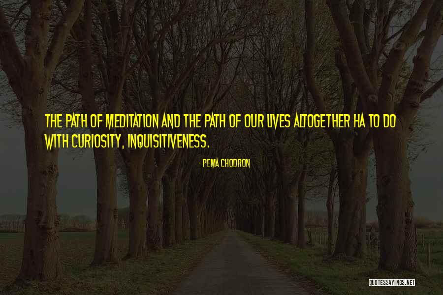 Anamaria Pirates Quotes By Pema Chodron Anamaria Pirates Quotes By Pema Chodron