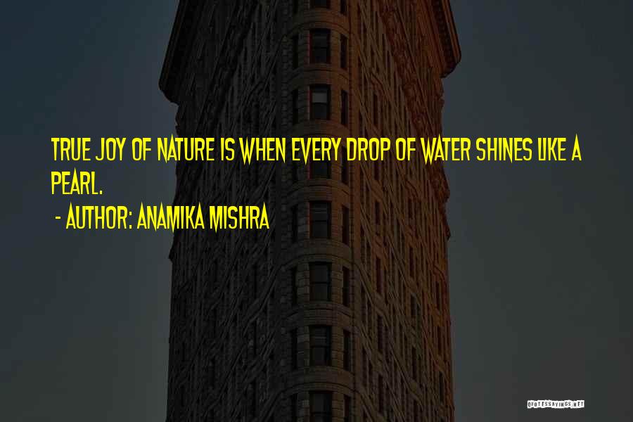 Anamika Mishra Quotes 711165