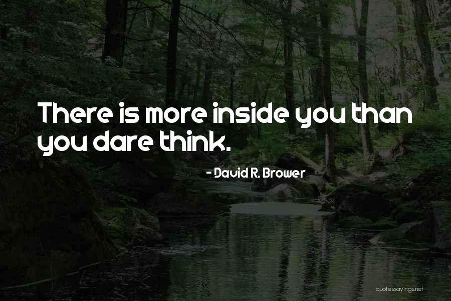 Ananana Quotes By David R. Brower Ananana Quotes By David R. Brower