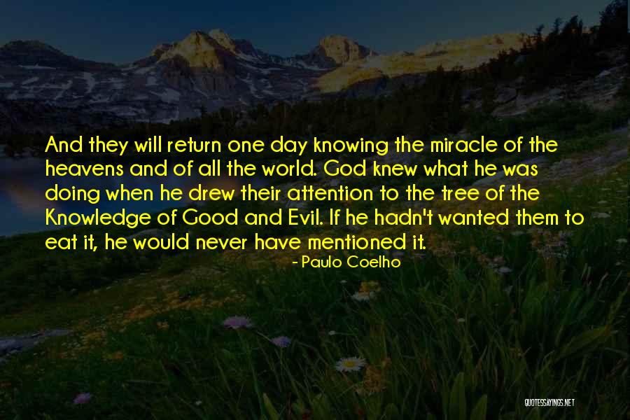 Ananasai Quotes By Paulo Coelho Ananasai Quotes By Paulo Coelho