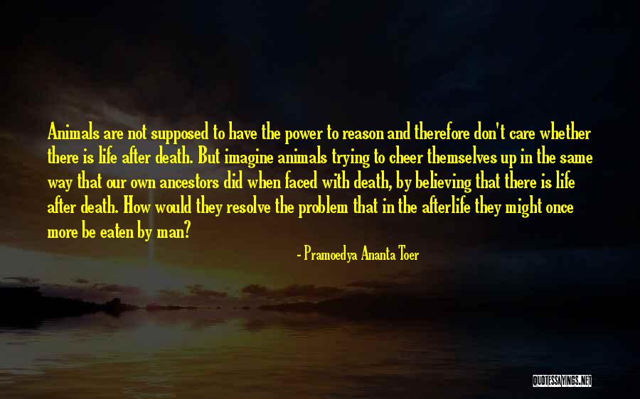 Ananta Toer Quotes By Pramoedya Ananta Toer