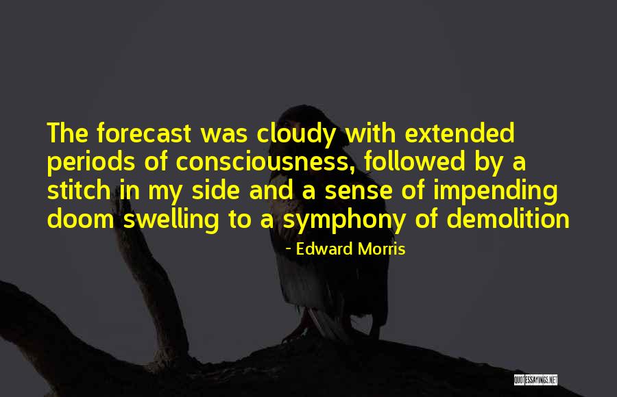 Ananthakrishnans Brazil Quotes By Edward Morris Ananthakrishnans Brazil Quotes By Edward Morris