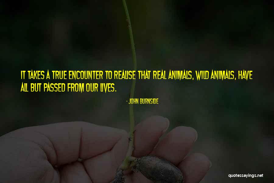 Anarchia Film Quotes By John Burnside Anarchia Film Quotes By John Burnside