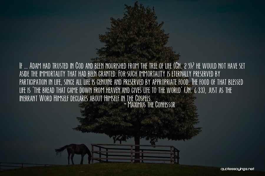 Anarchist Government Quotes By Maximus The Confessor Anarchist Government Quotes By Maximus The Confessor