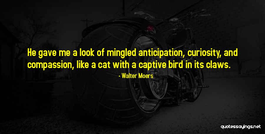 Anasia Govender Quotes By Walter Moers Anasia Govender Quotes By Walter Moers