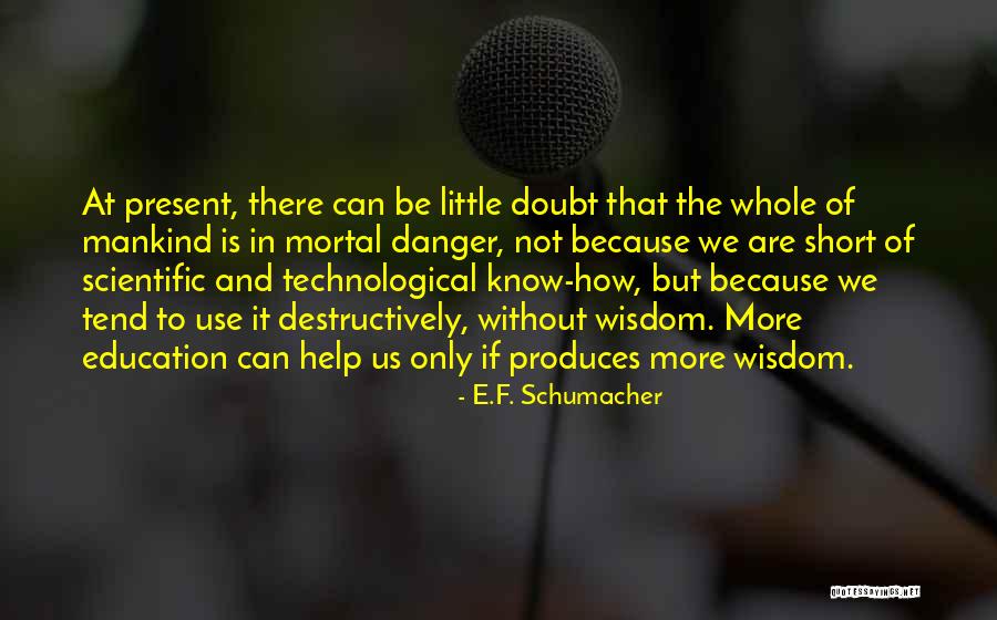 Anathematicanarchist Quotes By E.F. Schumacher Anathematicanarchist Quotes By E.F. Schumacher