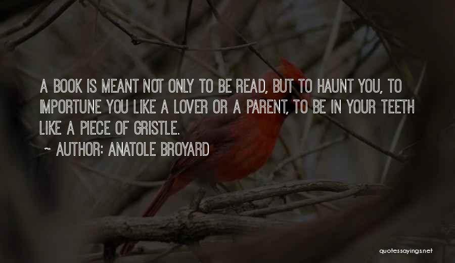 Anatole Broyard Quotes 1601696