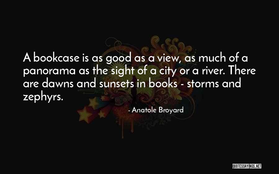 Anatole Broyard Quotes 2177692