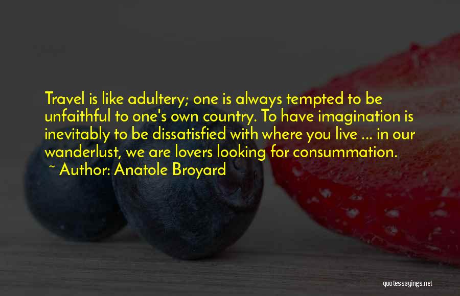 Anatole Broyard Quotes 352697